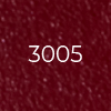 3005 *